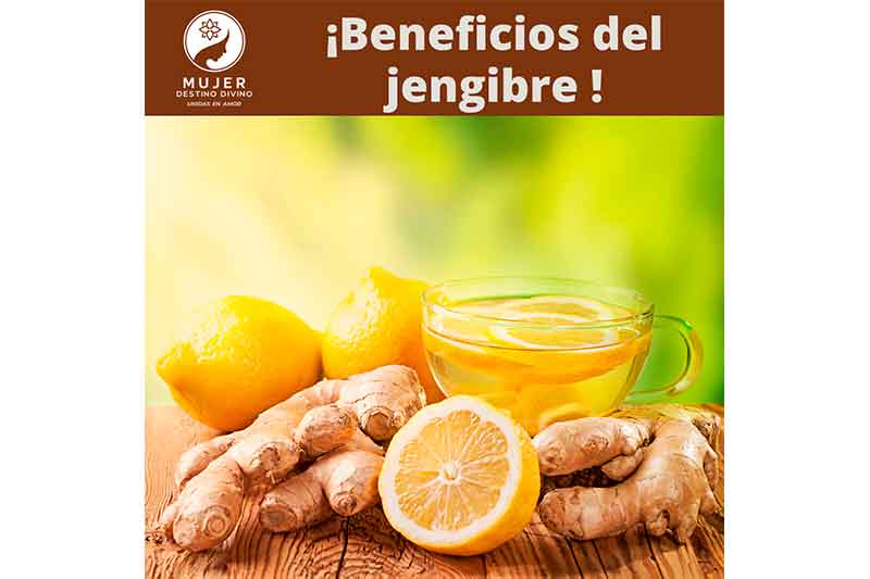 ¡beneficios Del Jengibre Para Tu Salud Mujer Destino Divino 0023